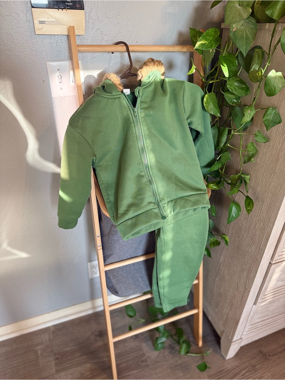 SHEIN Green Fleece Zip Hoodie & Joggers Set